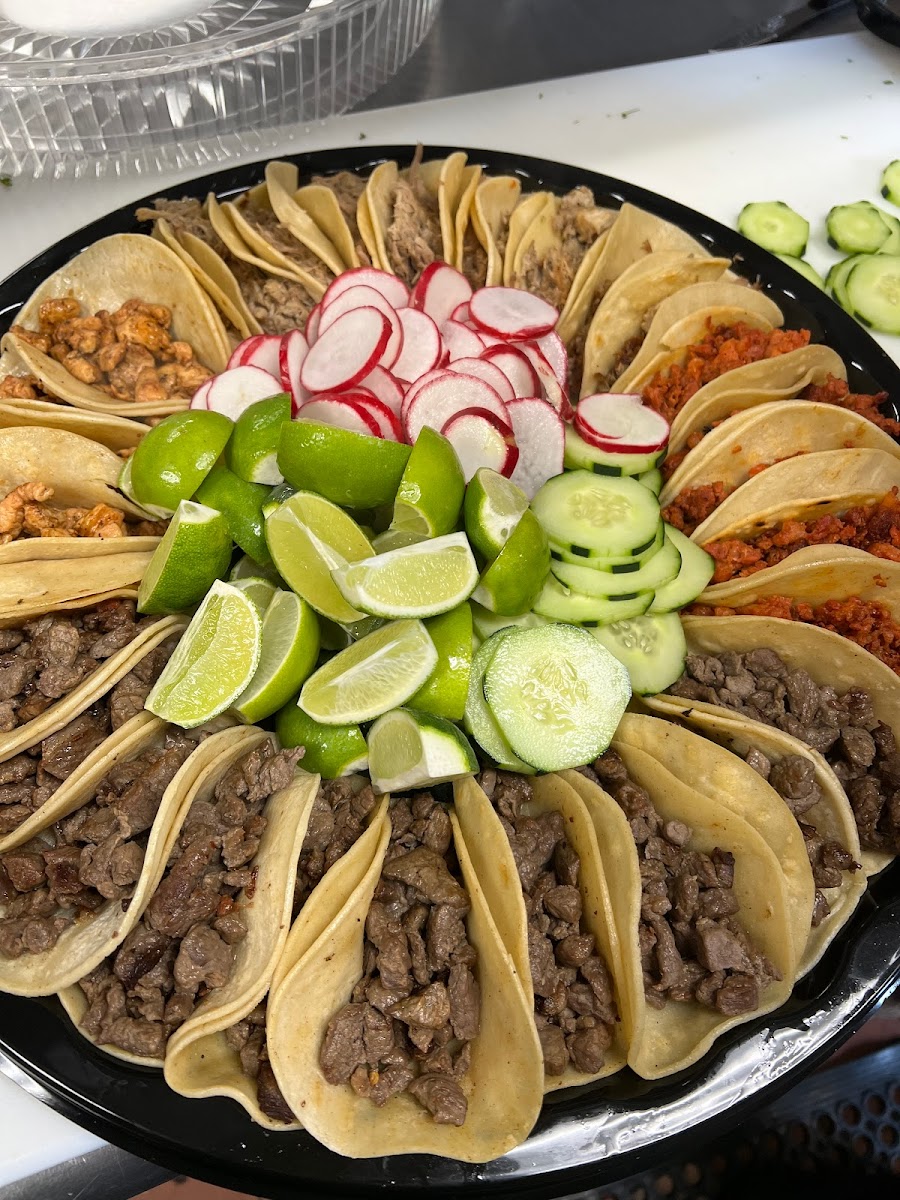 Tijuana Falls Taqueria-2